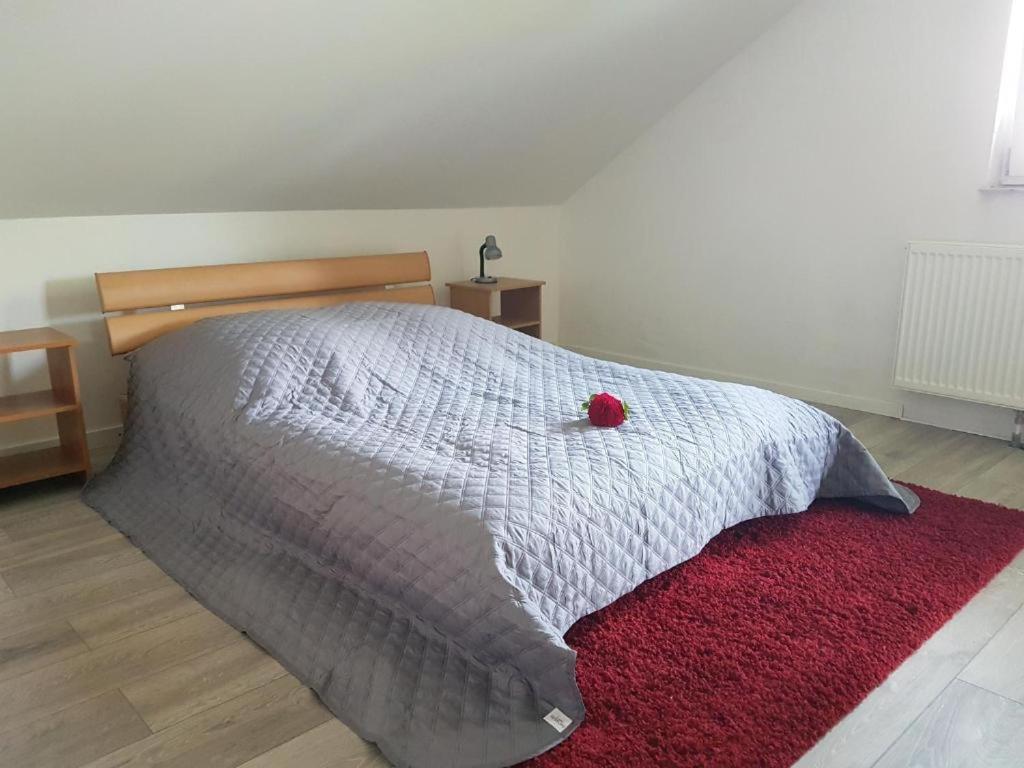 Penthouse N74 Urfahr Pöstlingberg 120 Qm Garten Kids Welcome! Apartment